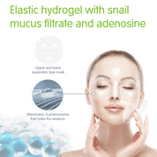 MICRO HOLE SNAIL HYDROGEL MASK